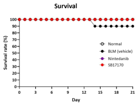 BILF 치료모델에서의 survival rate 그래프