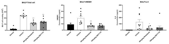 BILF 치료모델에서의 BALF 내 세포수, HMGB1, IL-6 level 분석