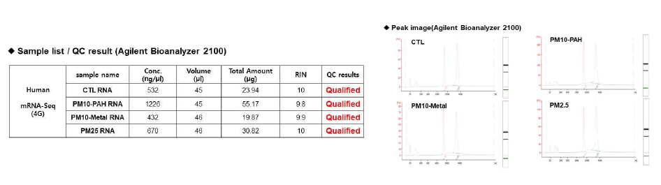 PM처리 세포에서 추출된 RNA의 QC분석