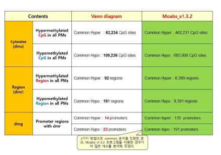 분석방법에 따른 결과 비교 예시