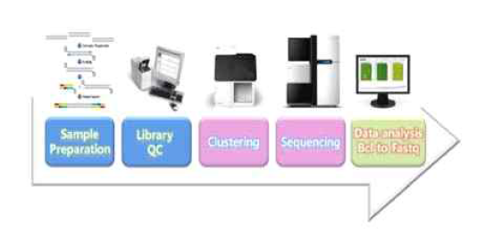 RNA-seq 과정 workflow