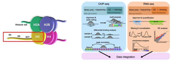 Histone epigenetics and data integration workflow