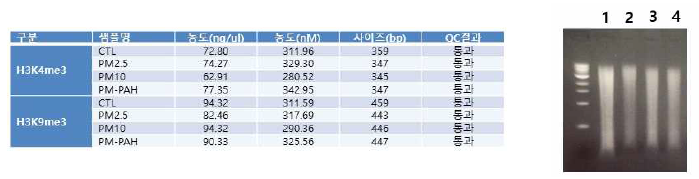 각각 H3K4me3와 H3K9me3 enrichments 후 추출 절편의 QC분석