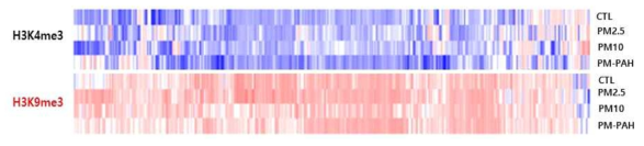 PM 처리한 NHEK 세포에서 H3K4me3와 H3K9me3 면역 침전물의 heatmap