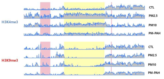 PM 처리한 NHEK 세포에서 H3K4me3와 H3K9me3 면역 침전물의 visualization