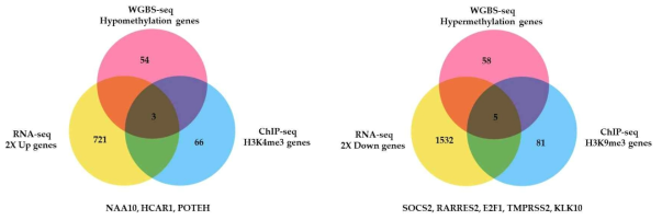 통합분석 결과의 Venn diagrams