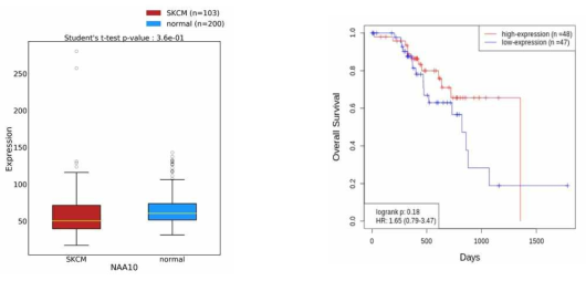 피부암환자의 NAA10 발현 차이와 환자 생존율에 미치는 영향