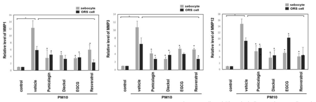 Punicalagin, dieckol, EGCG, resveratrol의 PM10에 의한 피지세포 및 ORS세포의 MMP1, MMP3, MMP12의 발현에 미치는 영향