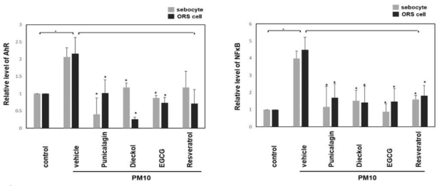 Punicalagin, dieckol, EGCG, resveratrol의 PM10에 의한 피지세포 및 ORS세포의 AhR, NF-kB의 발현에 미치는 영향