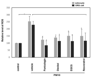 Punicalagin, dieckol, EGCG, resveratrol의 PM10에 의한 피지세포 및 ORS세포의 ROS 의 발현에 미치는 영향