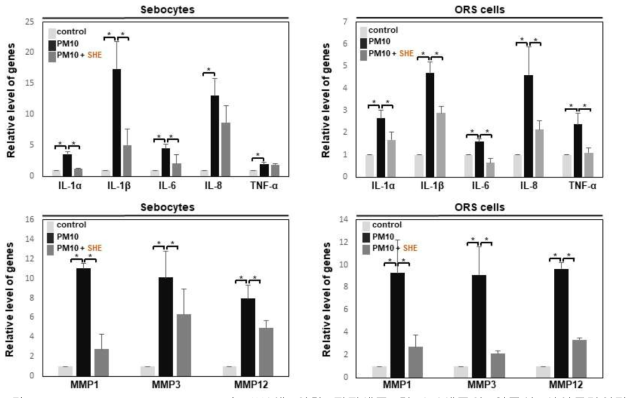 Siegesbeckia Herba Extracts의 PM10에 의한 피지세포 및 ORS세포의 염증성 사이토카인과 MMPs의 발현에 미치는 영향