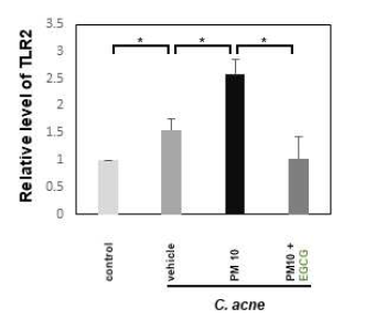 EGCG에 의한 C. acnes에 의해 유도된 여드름 마우스 모델에서 PM10 노출 환경에서TLR2의 유전자 발현의 변화
