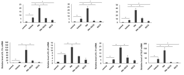 EGCG에 의한 DNCB에 의해 유도된 아토피피부염 마우스 모델에서 PM10 노출 환경에서 IL-1β, IL-4, IL-6, IL-17α, IL-25, IL-31, TSLP의 유전자 발현에 미치는 영향