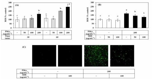 PM10에 노출된 HaCaT 세포의 ROS 생성에 대한 SHE의 영향