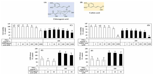 PM10에 노출된 HaCaT 세포의 viability, LDH 방출에 대한 Chlorogenic acid와 Caffeic acid의 영향