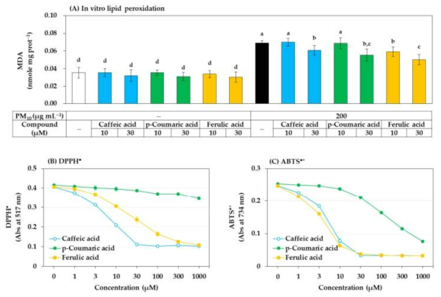 caffeic acid, p-coumaric acid, ferulic acid가 in vitro에서 PM10으로 처리한 HaCaT cell lysate의 지질 과산화에 미치는 영향과 in vitro에서 DPPH• 및 ABTS•+에 대한 자유 라디칼 소거 활성