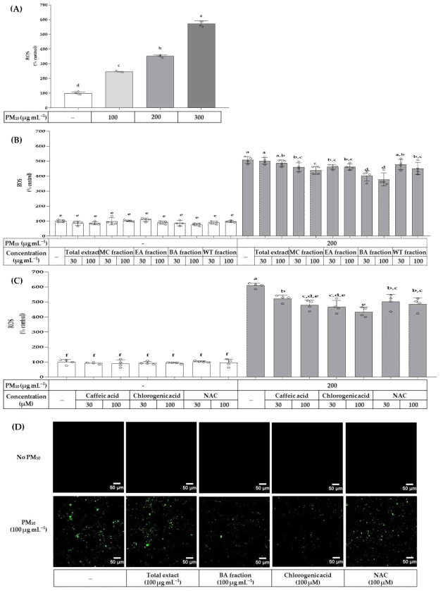 PM10에 노출된 HaCaT 각질형성세포의 활성산소종(ROS) 생성에 대한 총 OJ 추출물, 용매 분획물, 클로로겐산, 카페산 및 NAC의 영향