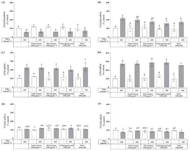 PM10에 노출된 HaCaT 각질형성세포에서 phospholipase A2 group IIA (PLA2G2A) (A), phospholipase A2 group IVA (PLA2G4A) (B), cyclooxygenase 1 (COX1) (C), cyclooxygenase 2(COX2)(D), 프로스타글란딘 E 합성효소 1(PTGES1)(E) 및 프로스타글란딘 E 합성효소 2(PTGES2)(F)의 mRNA 발현에 대한 총 OJ 추출물, 그 BA 분획물, 클로로겐산 및 NAC의 영향