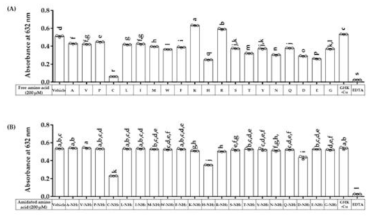유리 아미노산(A) 및 아미드화 아미노산(B)의 구리 킬레이트화 활성