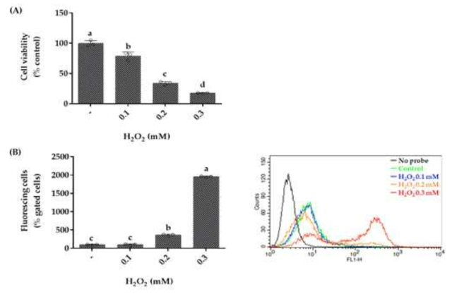 H2O2가 HaCaT 각질형성세포의 생존력, 활성산소종(ROS) 생성에 미치는 영향