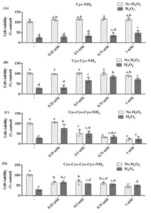 Cys-NH2, Cys-Cys-NH2, Cys-Cys-Cys-NH2 및 Cys-Cys-Cys-Cys-NH2가 HaCaT 각질형성세포의 세포생존율에 미치는 영향