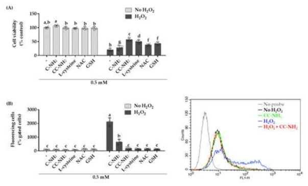 Cys-NH2, Cys-Cys-NH2, L-cysteine, N-acetyl L-cysteine 및 glutathione이 HaCaT 각질형성세포의 세포생존율, 활성산소종(ROS) 생성에 미치는 영향