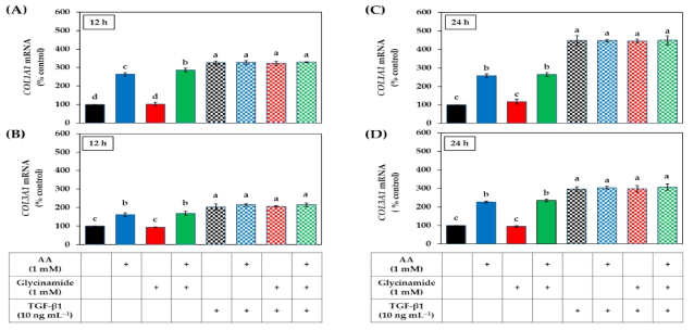 HDFs에서 프로콜라겐 유전자의 mRNA발현에 대한 AA, 글리신아미드와 TGF-β1의 단독 또는 조합 처리의 효과