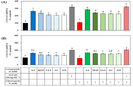 AA 유사체 (AA, MAP, EAA, AG 및 ATI), 글리신아미드, TGF-β1의 단독 또는 조합 처리가 HDFs의 프로콜라겐 유전자의 mRNA 발현에 미치는 영향