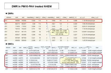 PM10-PAH유도 과메틸화 DMR의 예시