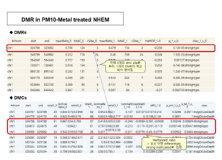 PM10-Metal유도 과메틸화 DMR의 예시