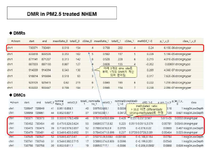 PM2.5유도 과메틸화 DMR의 예시