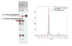 1-O-acylceramide의 TLC 및 HPLC chromatogram