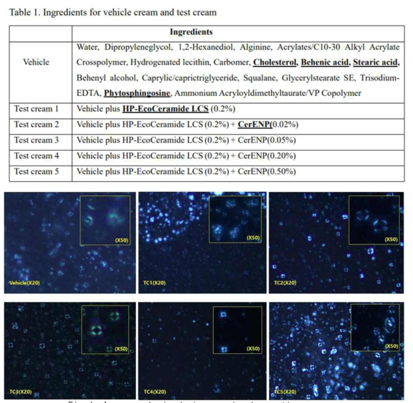 Across polarized microscopic observation