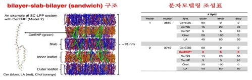 피부 각질층 시뮬레이션을 위한 확립한 샌드위치 모델링 구조 (왼편) 및 분자모델링 조성표 (오른편)