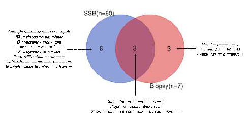 채취방법별 확보된 두피 유래 혐기성 미생물 비교