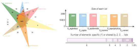 Staphylococcus 속 각기 다른 6종의 대표 균주의 COG 비교