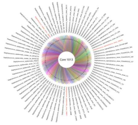 Staphylococcus 속 127종의 전장유전체의 Core Gene과 Unique Gene