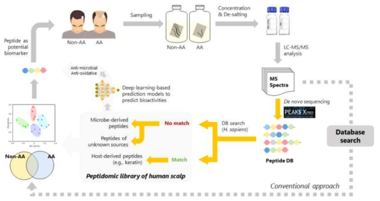 펩티도믹스 기반 두피 유래 시료 생리활성 펩타이드 분석 workflow