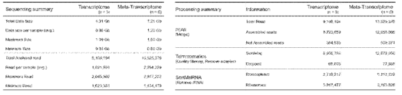 확보된 염기서열 용량 및 pre-processing 결과 (전사체)