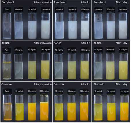 저장기간 중 농도에 따라 분무건조기로 건조된 SNP로 캡슐화 된 D-δ-토코페롤, 코엔자임 Q10 및 커큐민의 수분산성