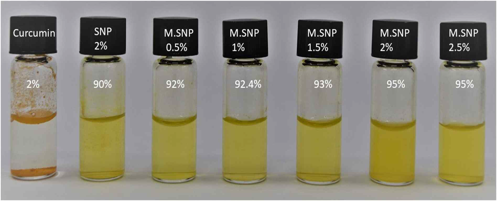 SNP와 M.SNP를 이용한 캡슐화 커큐민의 수용액