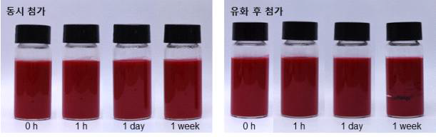 양이온성 구아검 첨가방법을 달리한 피커링 에멀션 사진