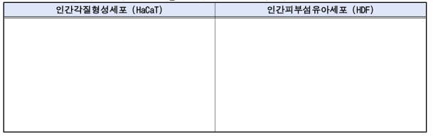 HaCaT 세포와 HDF 세포에서 SNP_final과 대조물질의 세포독성 그래프