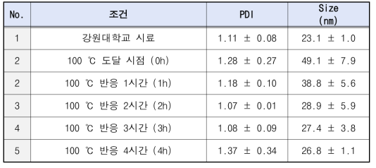 2차 시제품 입자 크기 결과