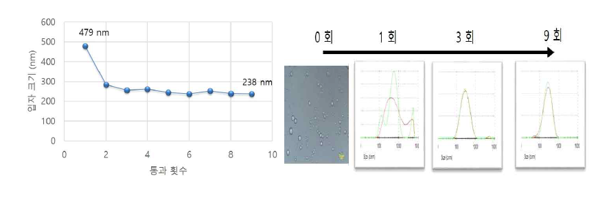 통과 횟수에 따른 나노 에멀션 크기 및 분포 변화