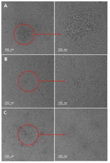 pH 에 따른 SNP 의 투과 전자 현미경 사진(A;pH 3, B;pH 7, C;pH 10)