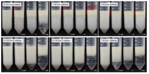 Urea 및 NaCl 의 농도에 따른 SNP-안정화된 피커링에멀션 사진