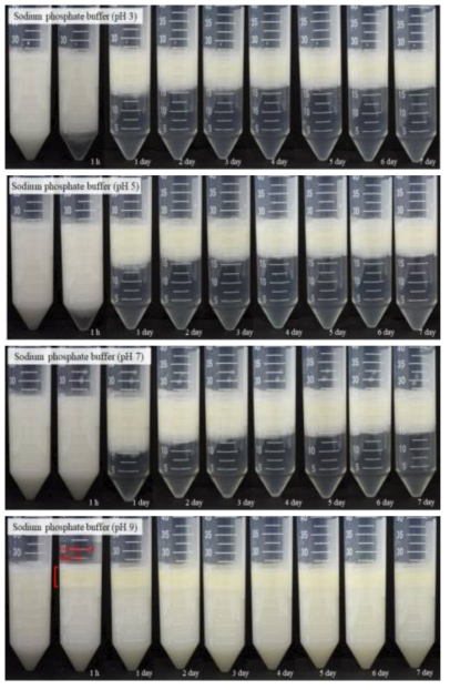 1M Sodium phosphate buffer의 pH에 따른 SNP-안정화된 피커링 에멀션 사진