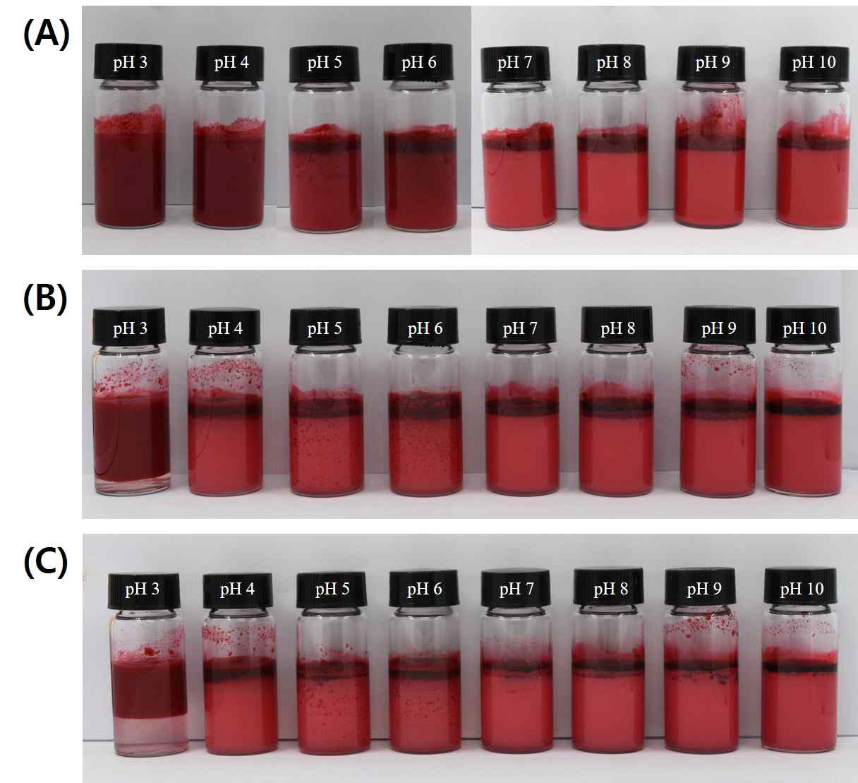 pH에 따른 SNP-안정화된 피커링 에멀션 사진 (위에서부터 제조 직후 (A), 1 일(B), 7 일(C) 보관; Oil red O 파우더로 oil 염색 후 에멀션 제조)