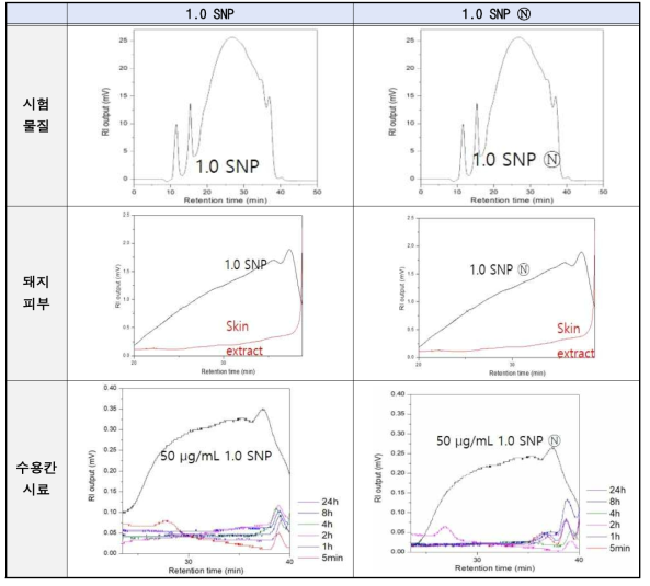 돼지피부를 이용한 생체외 (in vitro) 피부흡수시험 후 HPSEC 분석 결과